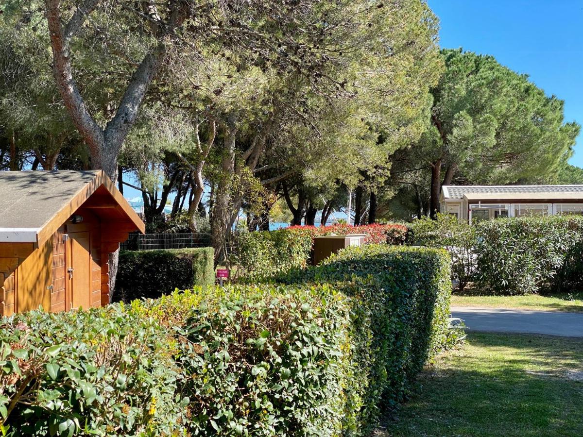 New Jungle Lake - Clim - Wifi - Draps & Serviettes - Bbq - 10' Des Plages لات المظهر الخارجي الصورة